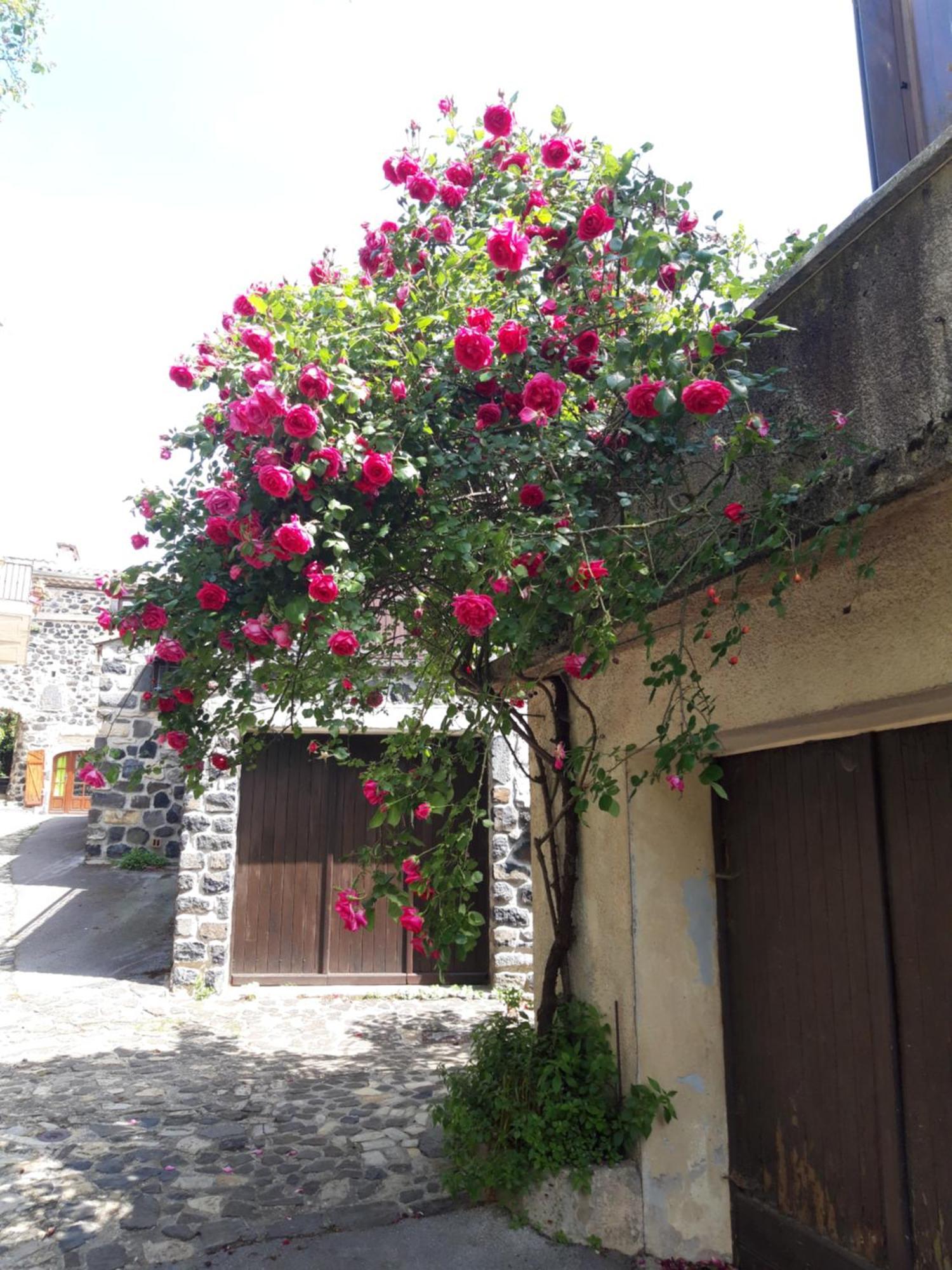 Le Cocon Villa Lussas Exterior photo